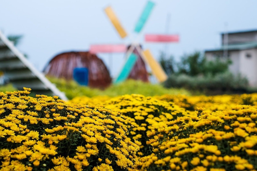 Atmosphère du Têt vibrante au village horticole de Sa Dec